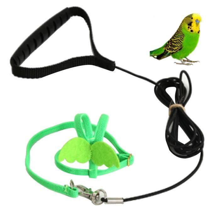 Meilleurs prix pour Vvikizy Laisse de harnais pour oiseaux de compagnie Harnais pour oiseaux de compagnie, laisse extensible pour animalerie animal