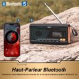 Radio Portable FM/ DAB-1