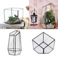 2 Set Serre en Verre de Hexagonal/Géométrie Vase pour Décoration Miniature Jardin Maison-3