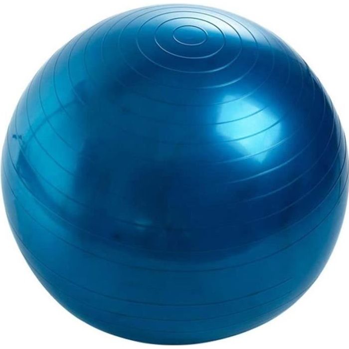 Balle de Fitness 55 cm, Ballon Grossesse, Swiss Ball pour Pilates Yoga Gym, Ballon d'exercice avec Pompe, Anti-éclatement et An 296
