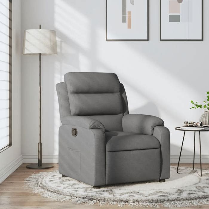 Promo 2026 Fauteuil inclinable Charge 150kg 75x92 5x100 cm - Fauteuil Releveur Relax en tissu gris foncé 9266