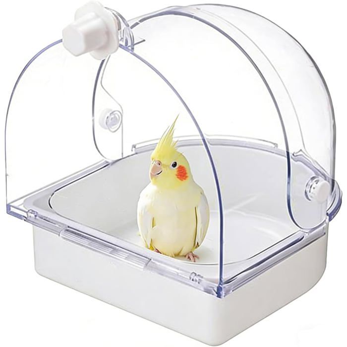 Baignoire suspendue pour oiseaux - Design suspendu externe