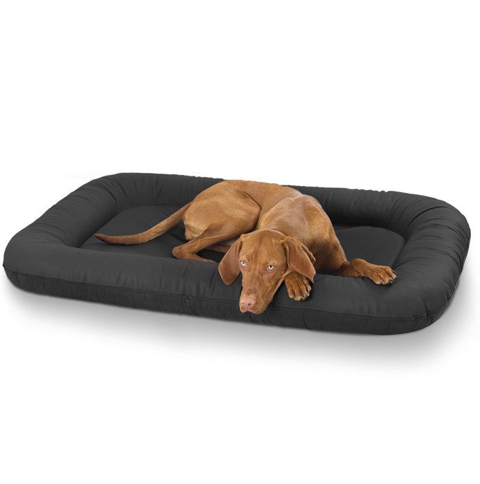 Meilleurs prix pour Knuffelwuff Jerry, Panier, Lit, Coussin, Corbeille pour chien, en similicuir, noir XXL 120 x 100
