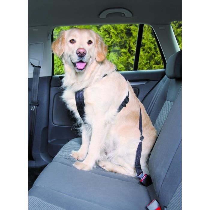 Docamor réglable Chien Ceinture de sécurité Harnais pour chien pour animal domestique de voiture véhicule Ceinture de sécurité Pet Laisse de sécurité Mène Chiens/Chats Rouge