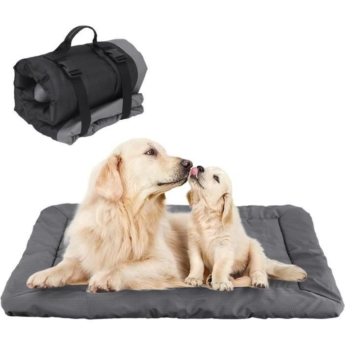 Coussin pour chien imperméable deals