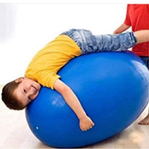 HUWAI-F Ballon de Fitness Suisse Epais Exercice de Yoga Gym Stabilité  Anti-Explosion avec Pompe à Main 55cm 65cm 75cm pour Entraînement Grossesse