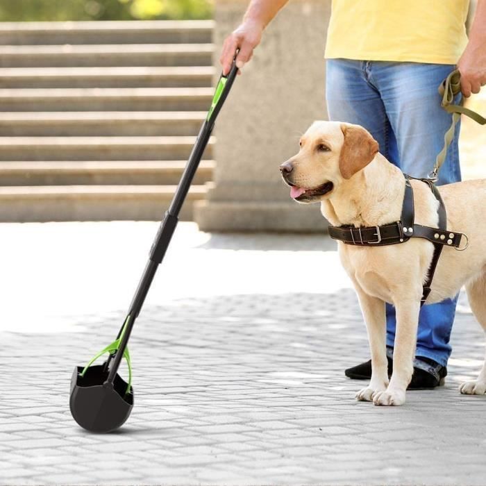 Pelle Ramasse Crotte pour Chien, 60 cm avec Long Manche Pliable - Pince Dentelée, Bleu, Nettoyage Facile | Leroy Merlin Pelle Ramasse Crotte pour Chien, 60 cm avec Long Manche Pliable - Pince Dentelée, Bleu, Nettoyage Facile | Leroy Merlin