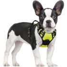 RABBTTGOO Rabbitgoo Harnais Chien Harnais pour Chien-36-61 cm Taille S- Harnais Souple Respirant Réfléchissant-Couleur Vert