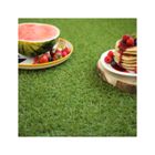 DECOWEB Gazon synthétique Brunch - 18mm - Rouleau de 2m x 3m