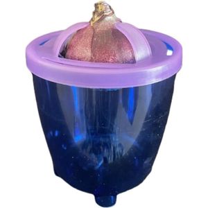 BULBE Pot Décoratif Pour Bulbes - Bulbera-Jacintera- (Base Bleue-Couvercle Violet) Utilisation Extérieure Ou Intérieure[n4464]