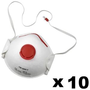 lot de 10 masques respiratoires lot de 10 masques respiratoires