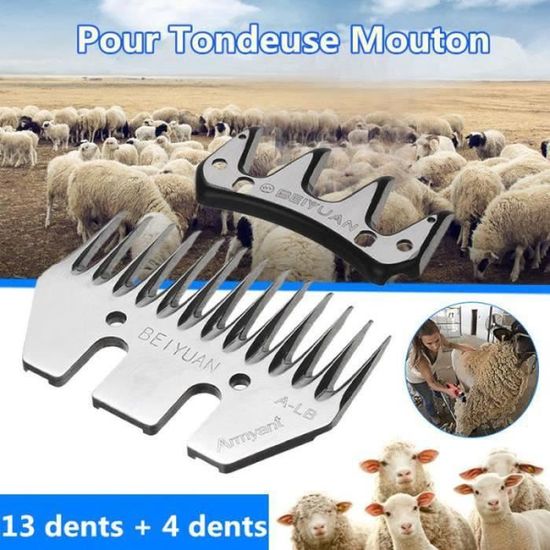 Cure-Pieds à Manche - Borstiq – La Sellerie D'Azur
