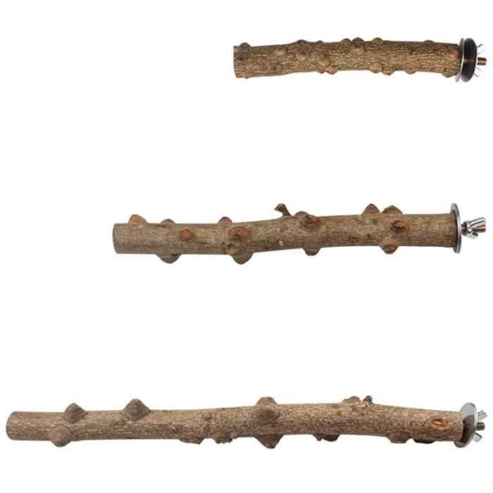 3 pièces en bois support d'oiseau tige Durable utile créatif perroquet perche escalade poteau pour Cage TOY