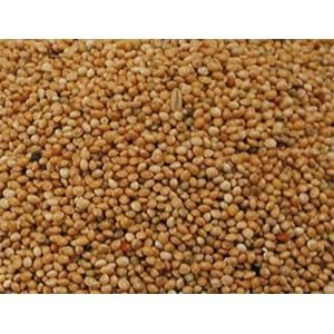 Vadigran Millet rond jaune (Poids: 1 Kg