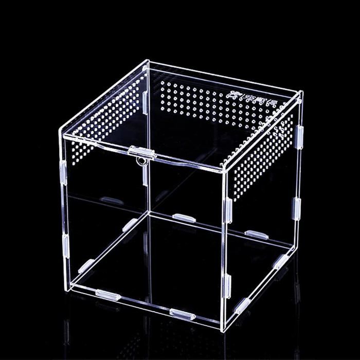 Terrarium Acrylique Ventilé Pour Araignée, Reptile, Gecko - Transparent, Tailles S/L