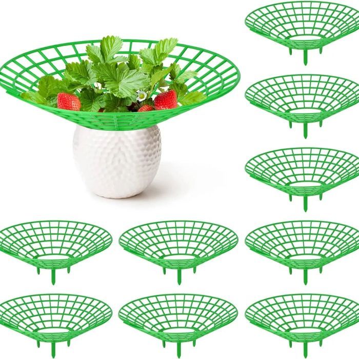 Aqestyerly Support de Croissance pour Plantes de Fraise Prévient la Pourriture des Fraises 3 Pcs Aqestyerly Support de Croissance pour Plantes de Fraise Prévient la Pourriture des Fraises 3 Pcs