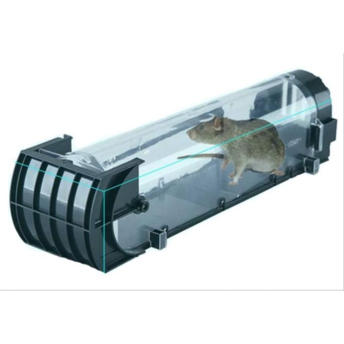 Piège À Souris Piège AnimalFriendly Piège Vivant pour Les Souris 2 — free download