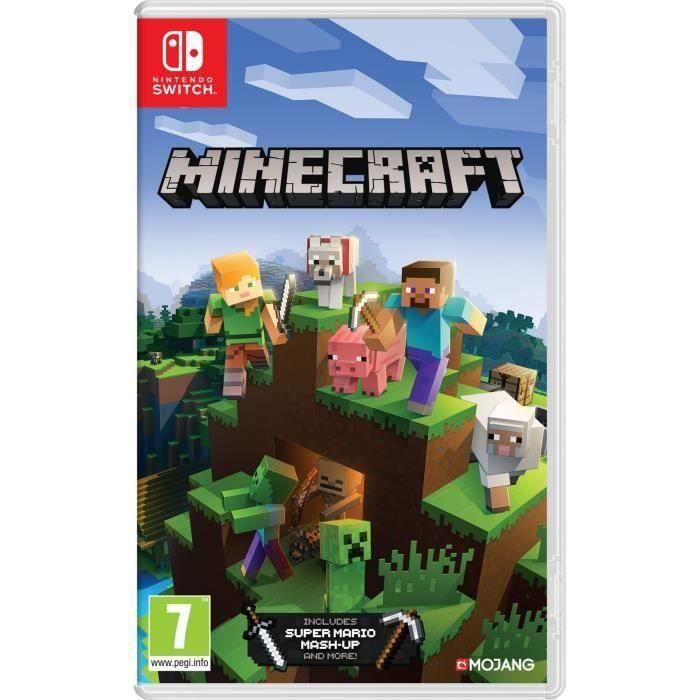 Minecraft Jeu Switch