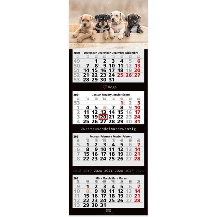 Calendrier De L Avent 2023 Chien Calendrier Mural 2021 - 4 Mois - Motif Chiens - Grand Format - 33 X 90  Cm[1930] - Cdiscount Beaux-Arts Et Loisirs Créatifs