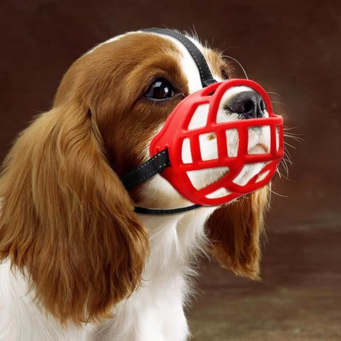 Meilleurs prix pour Taille 1# Snout 18-21cm Muselières pour Chiens,Sécurité Respirante Réglable,Empêche de Mordre,Aboyer,Mâcher,Adapté aux Petits Chiens