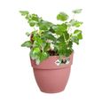 ELHO - Pot de fleurs -  Vibia Campana Easy Hanger Small - Rose Poussière - Balcon extérieur - L 24.1 x W 20.5 x H 26.5 cm-2