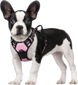 Harnais pour petit chien, souple et respirable - PetsPro