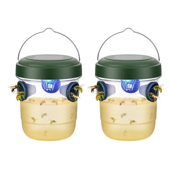 Frelons Asiatiques : Un Nouveau Piège Sélectif Venu Du Japon Pour Lutter Contre L'espèce