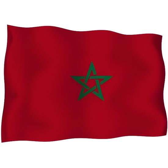 Autocollant sticker drapeau voiture maroc Achat / Vente décoration