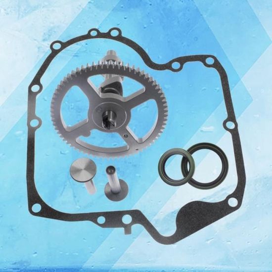 Anxingo Arbre à Cames 793880 De Rechange Pour B&S 793583 792681 791942 795102 Kit D'arbre à Cames Avec Joint D'huile 795387 Et Joint 697110