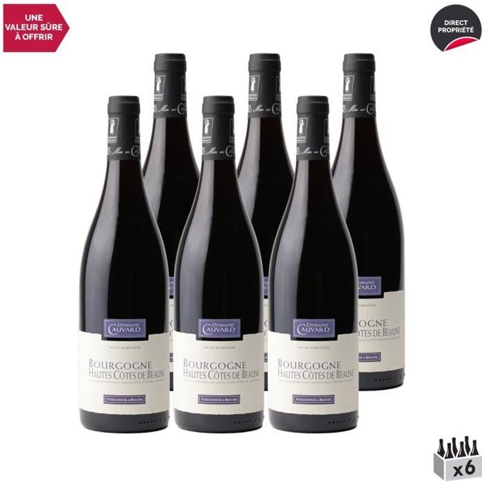 Bourgogne Hautes Côtes de Beaune Rouge 2018 - Lot de 6x75cl - Domaine Cauvard - Vin AOC Rouge de Bourgogne - Cépage Pinot Noir
