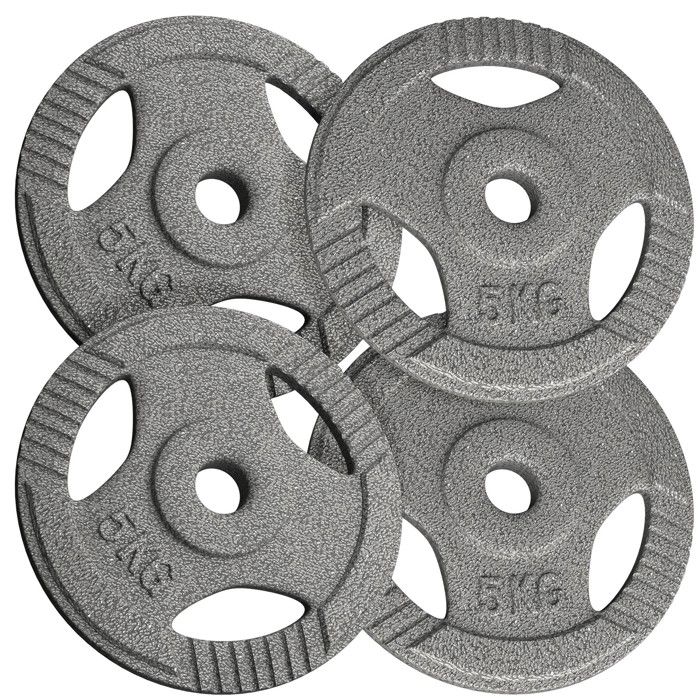 Physionics® Set de Disques de Poids - 4x5 kg, en Fonte, Diamètre de Trou Ø 31 mm, pour Barre d'Haltères Longue/Courte - Ensemble de