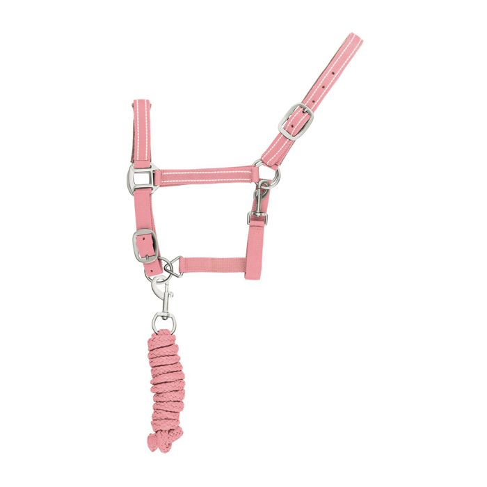 Meilleurs prix pour Ensemble licol et longe pour cheval nylon refléchissante Supreme