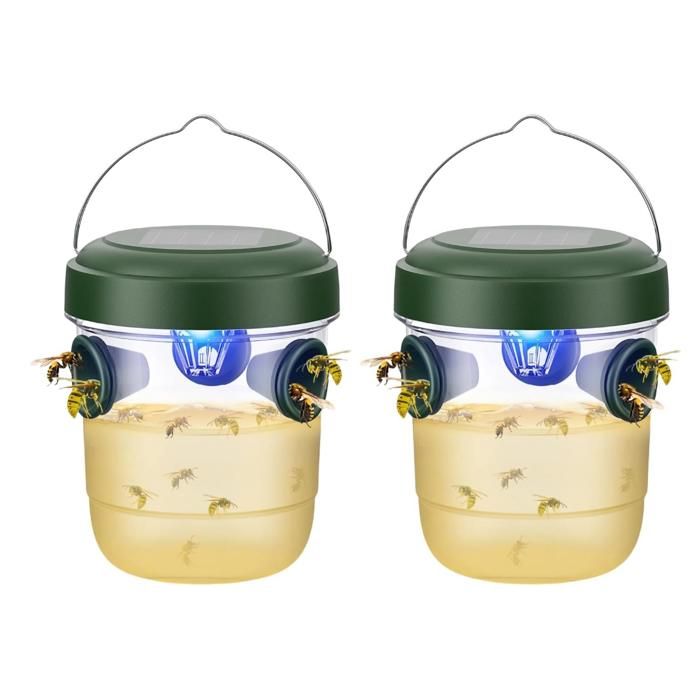 Piege Frelon Asiatique Piege A Guepes Et Frelons Exterieur À