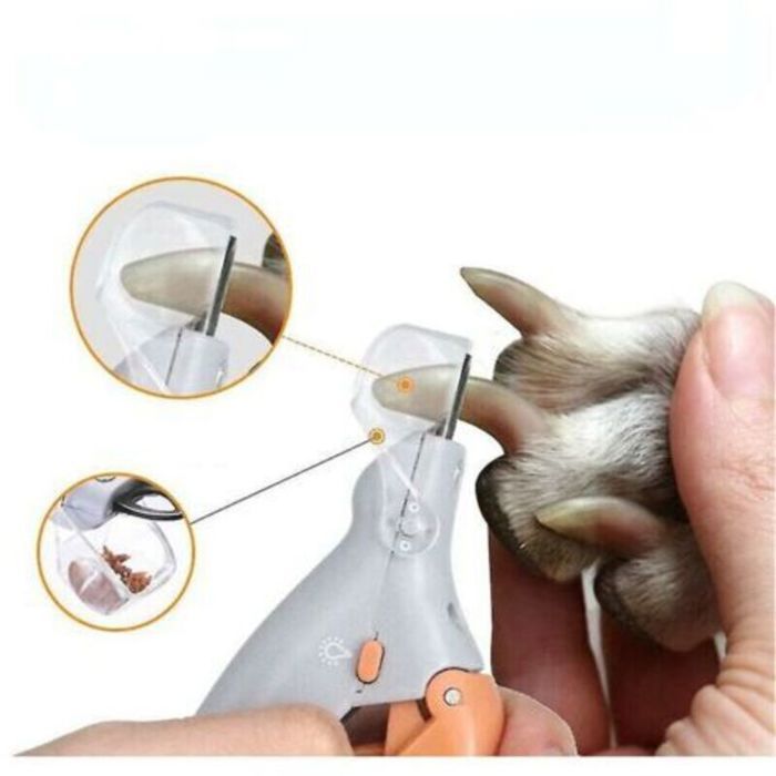 Coupe-ongles professionnel pour animaux de compagnie coupe-ongles pour chiens et chats coupe-griffes avec lumière LED 1 pièce