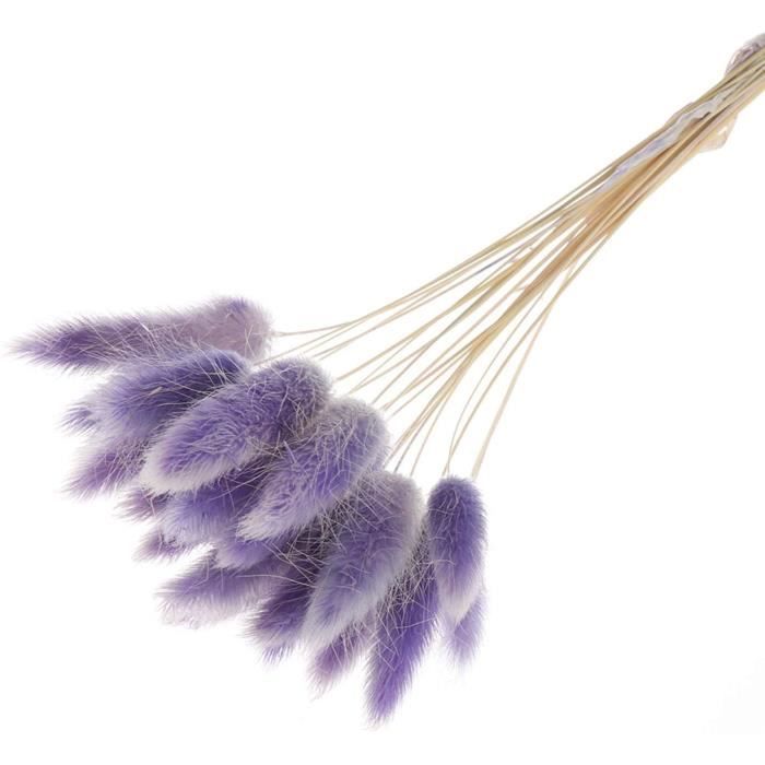 50 Pièces Fleurs Séchées Lagurus 45 Cm - Queue De Lapin Naturelle Pour Décoration Mariage Et Maison (Violet)