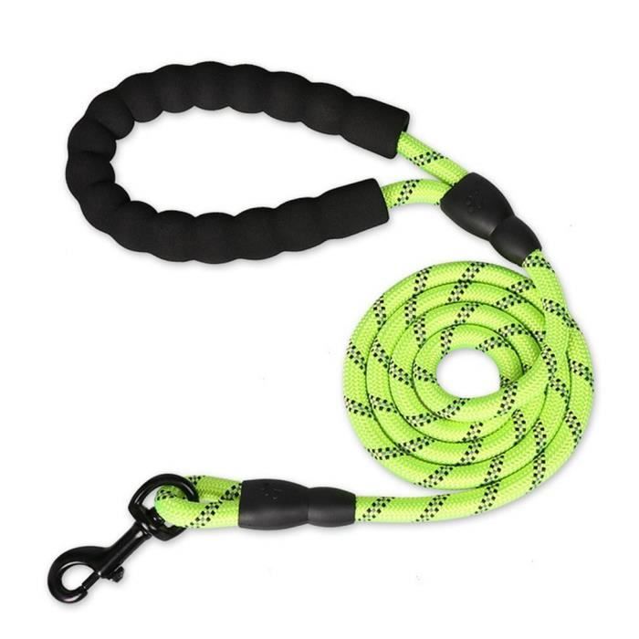 Clix Recall Long Line - Longe de Rappel | Chien