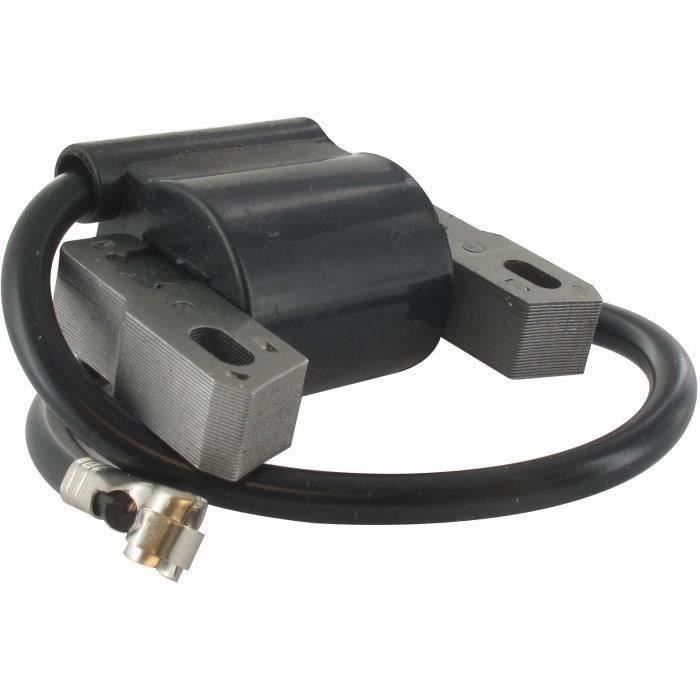 Bobine d'allumage adaptable pour B&S 122L02-122L07, 122M02-122M07, 122T02-122T07, 124L02-124L07, 124