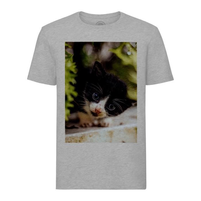 T Shirt Homme Col Rond Gris Chaton Noir Et Blanc Yeux Bleus En Observation Sur Un Muret Mignon Animaux Gris Cdiscount Pret A Porter T Shirt Homme Col Rond Gris Chaton Noir Et Blanc Yeux Bleus En Observation Sur Un Muret Mignon Animaux Gris Cdiscount Pret A Porter