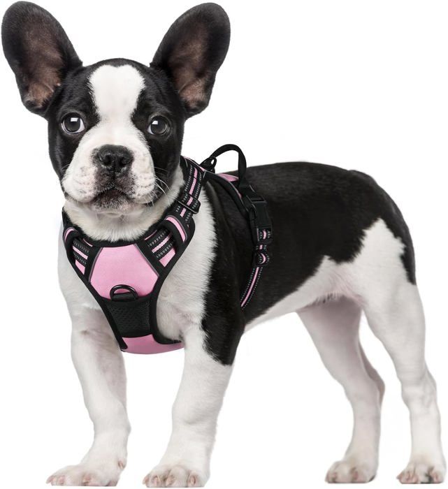 Meilleurs prix pour Harnais anti-traction pour chien - Rabbitgoo - Réglable - Rose - Taille S