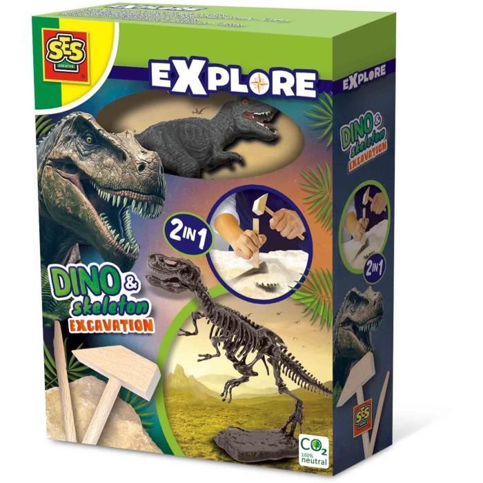 Creativity Point – 24 Squelettes De Dinosaures En PVC – 12 Modèles X 2 – Jeu éducatif Et Fouilles