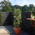 Tuteur de jardin - DEUBA - Colonne rosiers - Support pour plantes grimpantes - Ø 40 cm - Obélisque de jardin-2