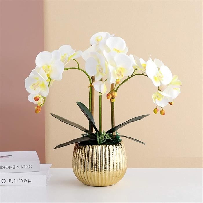 BENO Fleurs d'orchidées artificielles avec Vase Faux orchidée Phalaenopsis  Faux orchidée pour la décoration de la Maison Centre de Table Décorations  de Maison : : Cuisine et Maison