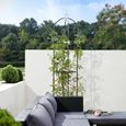 Tuteur de jardin - DEUBA - Colonne rosiers - Support pour plantes grimpantes - Ø 40 cm - Obélisque de jardin-3