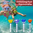 Thermomètre de piscine Indicateur de température Cartoon Sea Lion Forme avec Longe pour piscine Spa bain à remous étang-3