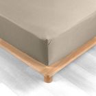 Drap housse 160x200 cm - Percale 100% coton - Bonnet 30 cm - Sable - DOUCEUR D'INTERIEUR