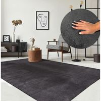 Tapis pour le salon ou de chambre - anthracite - 160x220 cm | Rectangulaire | Lavable jusqu'à 30 degrés | Tapis LOFT de The Carpet