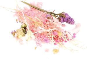ENGRAIS JEU D'ASSEMBLAGE - JEU DE CONSTRUCTION - JEU DE MANIPULATION-Couleur Rose (Couleur 1) Plantes de fleurs séchées, spécimen fleurs