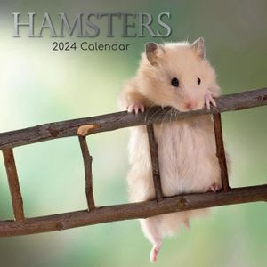 CALENDRIER - EPHEMERIDE Tgsc - Calendrier Mural 2024 - Hamsters - 16 Mois - Calendrier Mensuel 2023 Et 2024 - Planificateur Mural Familial 2023-2024[u2046]