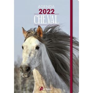 Agenda scolaire OBERTHUR Cheval Wild 2023-2024 - Cdiscount Beaux-Arts et  Loisirs créatifs