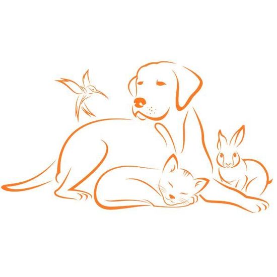 Sticker Animaux Chien Chat Lapin Oiseau Mignons 50x90 Cm Orange Anim003 Achat Vente Stickers Cdiscount Sticker Animaux Chien Chat Lapin Oiseau Mignons 50x90 Cm Orange Anim003 Achat Vente Stickers Cdiscount